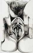 Gothic vulva 2